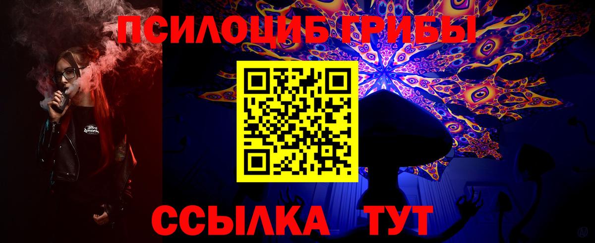Галлюциногенные грибы Cubensis  Вход с VPN  Уварово 